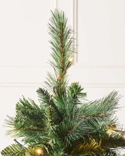 WeRChristmas Pre-Lit Victorian Pine Christmas Tree, 4 Ft^ Budget Christmas Trees|Potted Christmas Trees