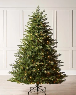 WeRChristmas Pre-Lit Windsor Fir Christmas Tree, 5 Ft^ Premium Christmas Trees|Budget Christmas Trees