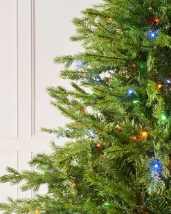 WeRChristmas Pre-Lit Windsor Fir Christmas Tree, Dual Multi Colour, 6 Ft^ Premium Christmas Trees|Pre Lit Christmas Trees