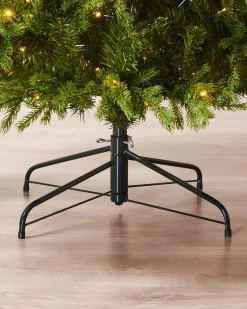 WeRChristmas Pre-Lit Windsor Fir Christmas Tree, Dual Multi Colour, 6 Ft^ Premium Christmas Trees|Pre Lit Christmas Trees