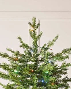 WeRChristmas Pre-Lit Windsor Fir Christmas Tree, Dual Multi Colour, 7 Ft^ Premium Christmas Trees|Pre Lit Christmas Trees