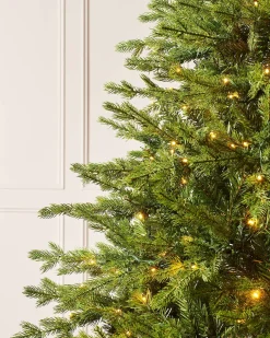 WeRChristmas Pre-Lit Windsor Fir Christmas Tree, Dual Warm White, 7 Ft^ Premium Christmas Trees|Pre Lit Christmas Trees