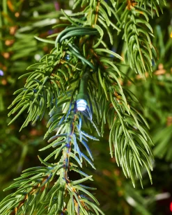 WeRChristmas Pre-Lit Windsor Fir Christmas Tree, Dual Multi Colour, 8 Ft^ Premium Christmas Trees|Pre Lit Christmas Trees