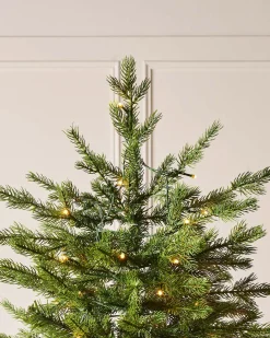 WeRChristmas Pre-Lit Windsor Fir Christmas Tree, Dual Multi Colour, 8 Ft^ Premium Christmas Trees|Pre Lit Christmas Trees