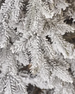WeRChristmas Snow Flocked Grey Fir Christmas Tree, 6 Ft^ Premium Christmas Trees|Snow Flocked Christmas Trees