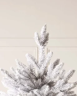 WeRChristmas Snow Flocked Grey Fir Christmas Tree, 6 Ft^ Premium Christmas Trees|Snow Flocked Christmas Trees
