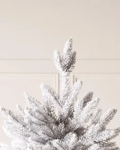 WeRChristmas Snow Flocked Grey Fir Christmas Tree, 7 Ft^ Premium Christmas Trees|Snow Flocked Christmas Trees