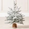 WeRChristmas Snow Flocked Potted Christmas Tree, 2 Ft^ Budget Christmas Trees|Potted Christmas Trees