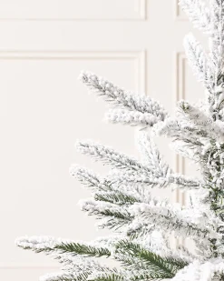 WeRChristmas Snow Flocked Potted Christmas Tree, 2 Ft^ Budget Christmas Trees|Potted Christmas Trees