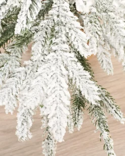 WeRChristmas Snow Flocked Potted Christmas Tree, 2 Ft^ Budget Christmas Trees|Potted Christmas Trees