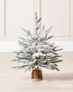 WeRChristmas Snow Flocked Potted Christmas Tree, 2 Ft^ Budget Christmas Trees|Potted Christmas Trees