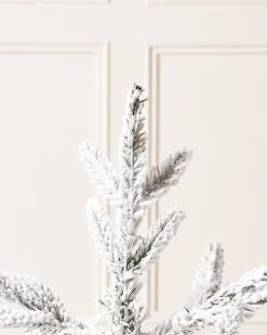 WeRChristmas Snow Flocked Potted Christmas Tree, 2 Ft^ Budget Christmas Trees|Potted Christmas Trees