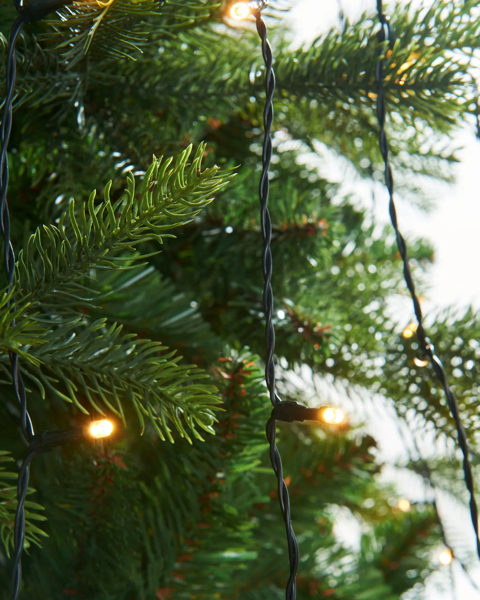 WeRChristmas Warm White LED Christmas Tree Light String, 2 M^ Tree Lights