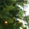 WeRChristmas Warm White LED Christmas Tree Light String, 2.5 M^ Tree Lights