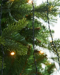 WeRChristmas Warm White LED Christmas Tree Light String, 2.5 M^ Tree Lights